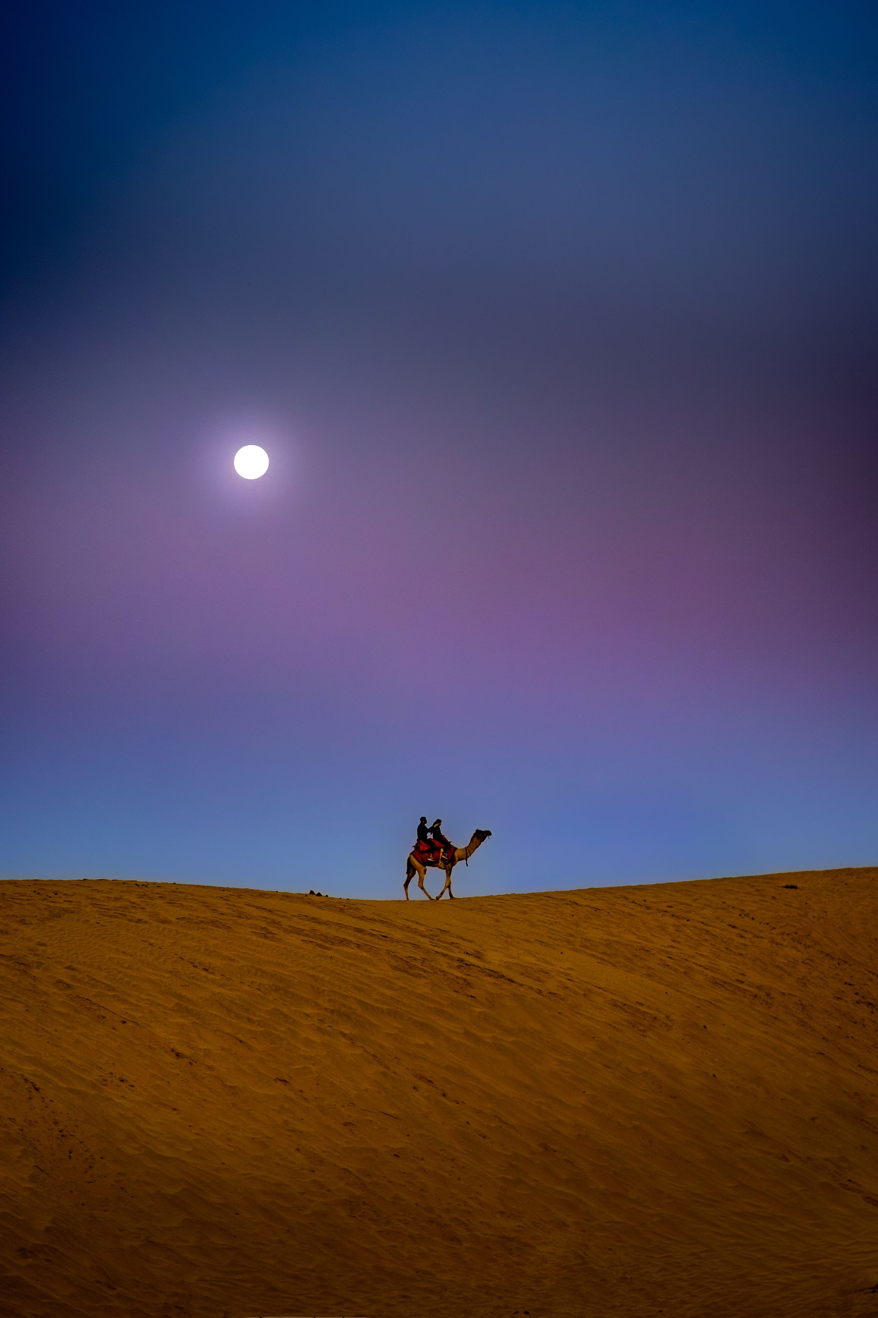 Lone Camel Rider Beneath Moon